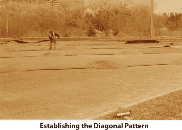 Establishing a Diagonal Pattern